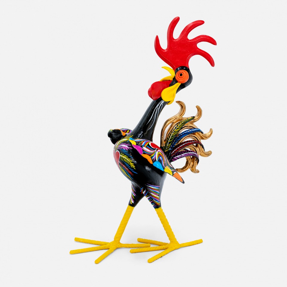 Galo "Elegante" 
