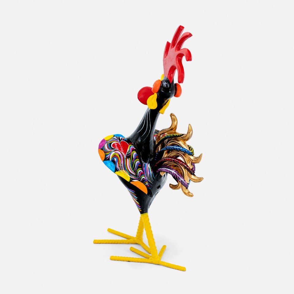 Galo "Elegante" 