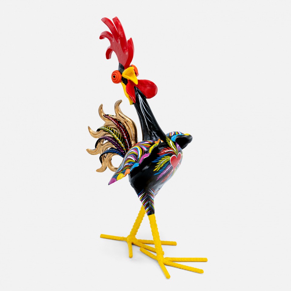 Galo "Elegante" 