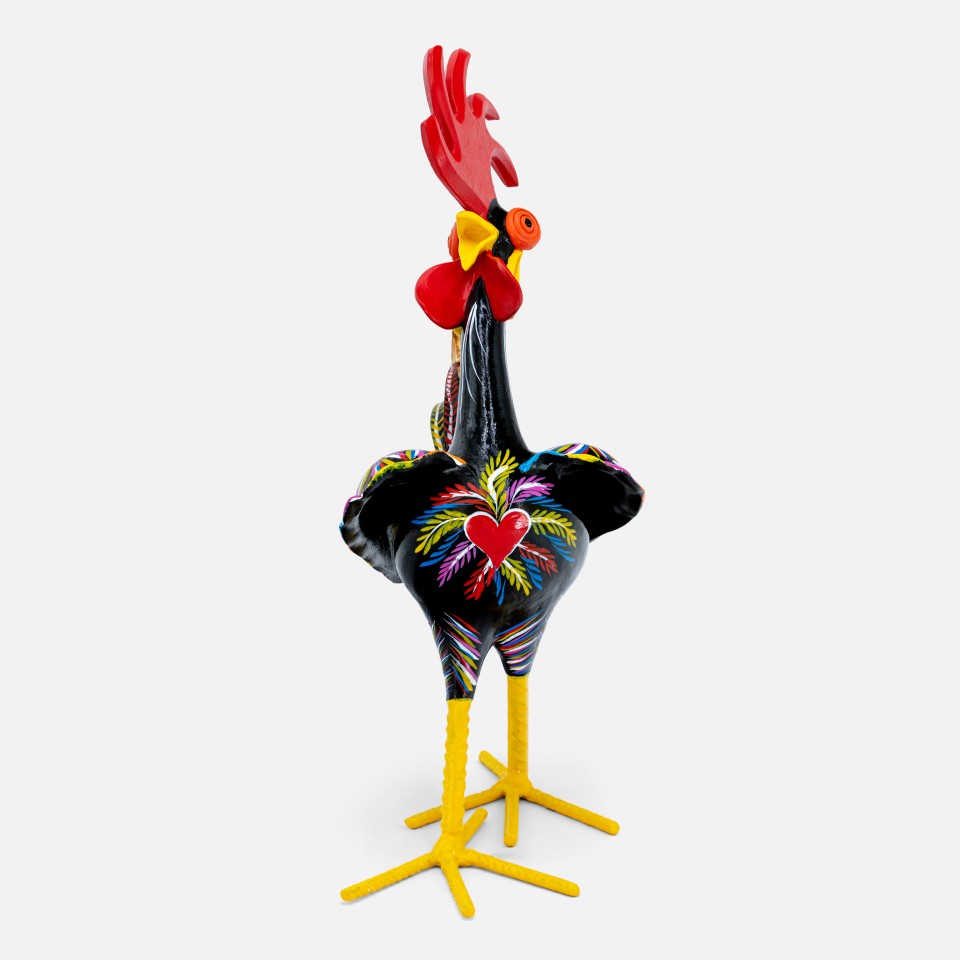 Galo "Elegante" 