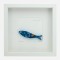 Sardinha Sardinha