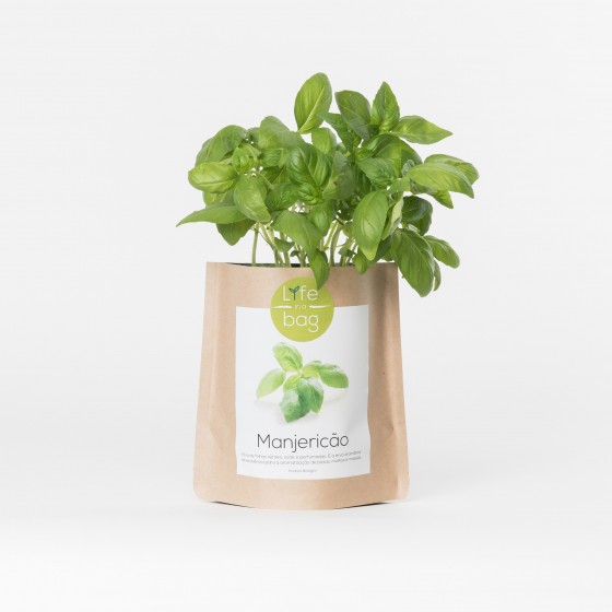 Grow Bag Manjericão  Grow Bag Manjericão