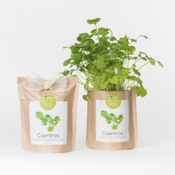 Grow Bag Coentros Grow Bag Coentros