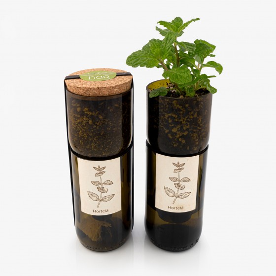 Grow Bottle Hortelã Grow Bottle Hortelã