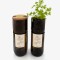 Grow Bottle Salsa Grow Bottle Salsa