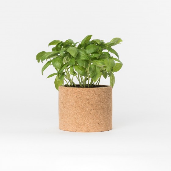 Grow CorK Pote Manjericão Grow CorK Pote Manjericão