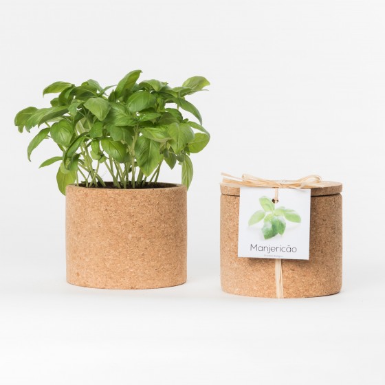 Grow CorK Pote Manjericão Grow CorK Pote Manjericão