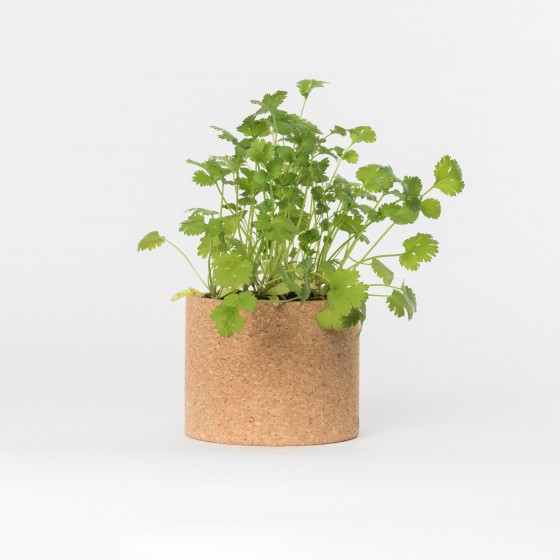 Grow CorK Pote Coentros Grow CorK Pote Coentros