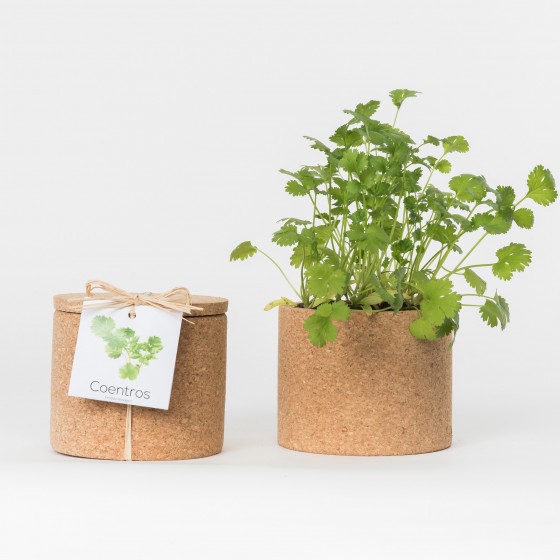 Grow CorK Pote Coentros Grow CorK Pote Coentros