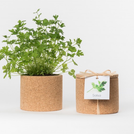 Grow CorK Pote Salsa Grow CorK Pote Salsa