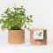 Grow CorK Pote Salsa Grow CorK Pote Salsa