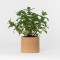Grow CorK Pote Hortelã Grow CorK Pote Hortelã
