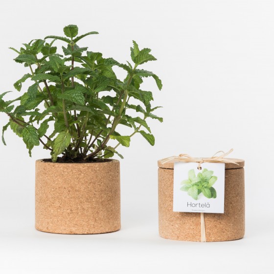Grow CorK Pote Hortelã Grow CorK Pote Hortelã
