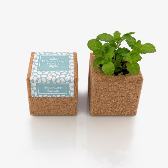 Grow Cube Hortelã Grow Cube Hortelã