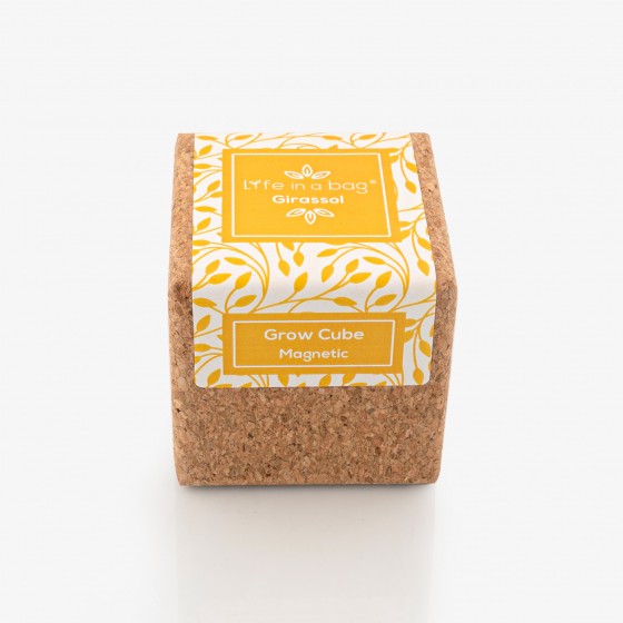 Grow Cube Girassol Grow Cube Girassol